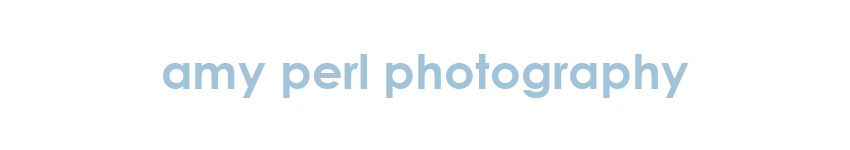 amy perl photography logo